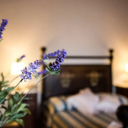 Villa Tuscany Holiday Concierge - I Sorbi *